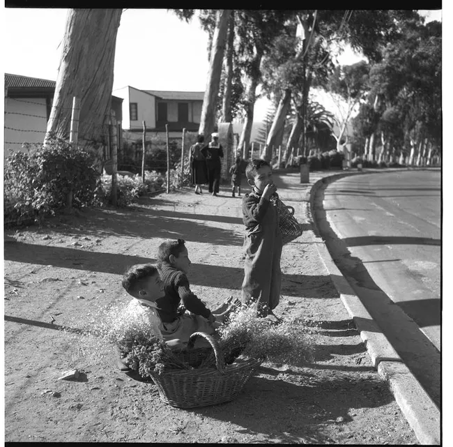 Vendedores de flores, camino a Algarrobo