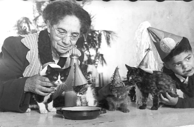 Fiesta de Pascua para Gatos