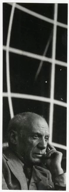 Picasso, Congreso Mundial en Breslavia