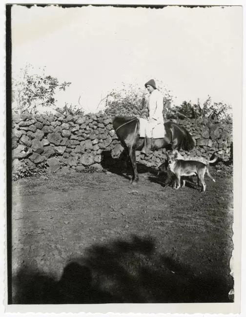 HOMBRE A CABALLO,ISLA DE PASCUA