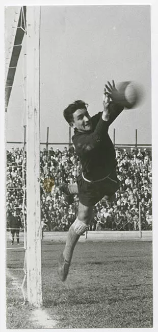 OJEDA