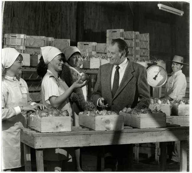 Patricio Aylwin Azócar en campaña presidencial