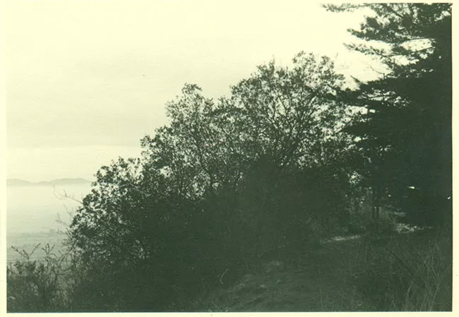 Paisaje rural