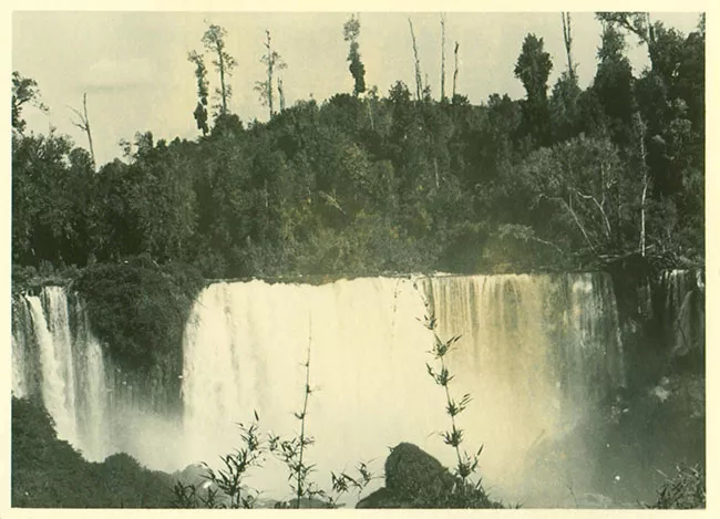 Paisaje fluvial