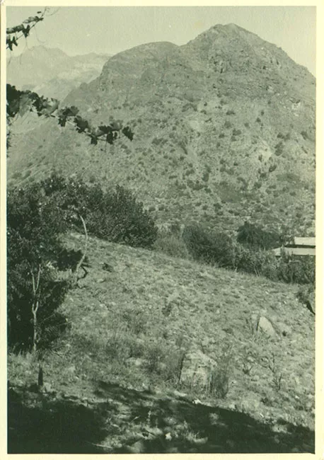 Paisaje rural