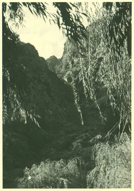 Paisaje rural