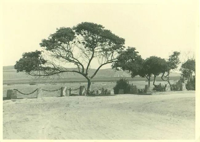 Paisaje rural