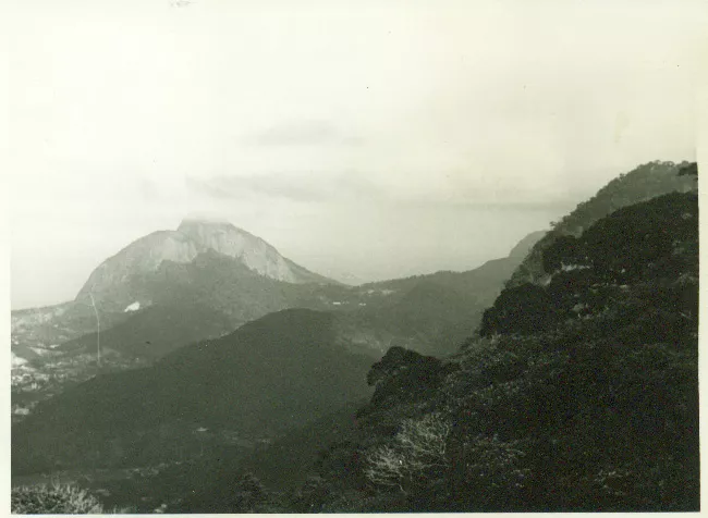 Vista aérea de paisaje rural