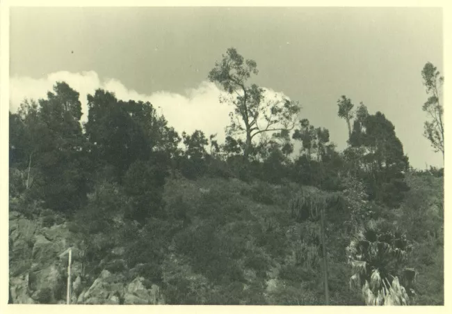 Paisaje rural