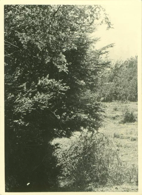 Paisaje rural