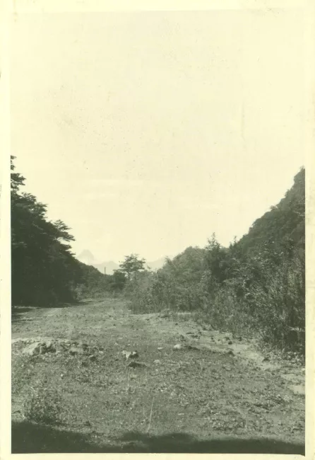 Paisaje rural