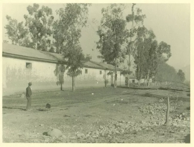Paisaje rural