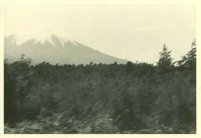 Paisaje rural