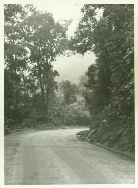 Paisaje rural