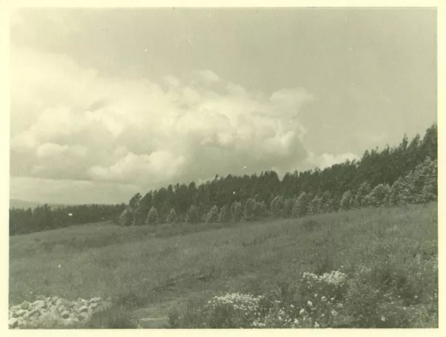 Paisaje rural