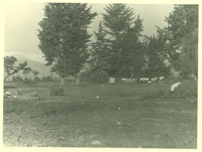 Paisaje rural