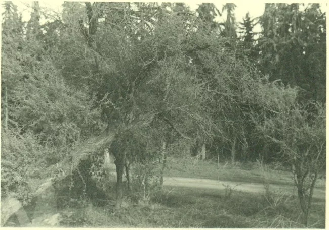 Paisaje rural