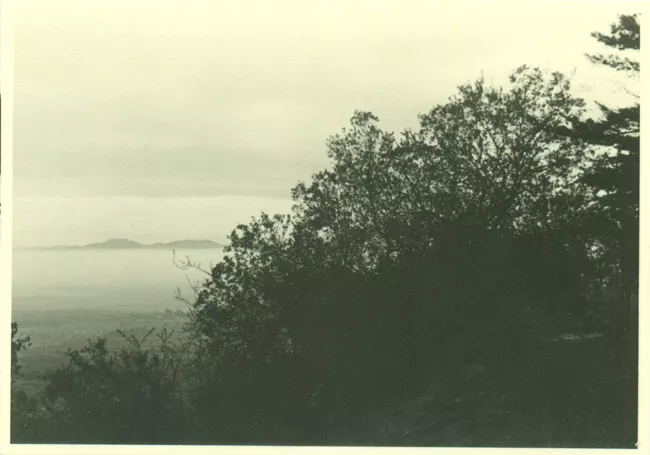 Paisaje rural