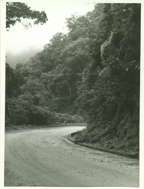 Paisaje rural