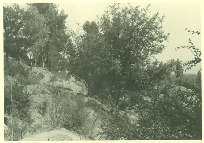Paisaje rural
