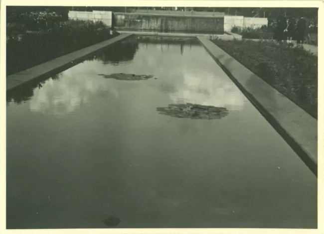 Jardin con una pileta