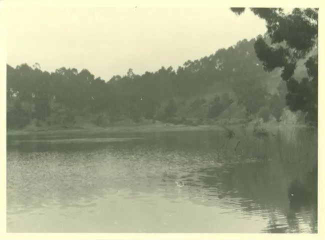 Paisaje rural