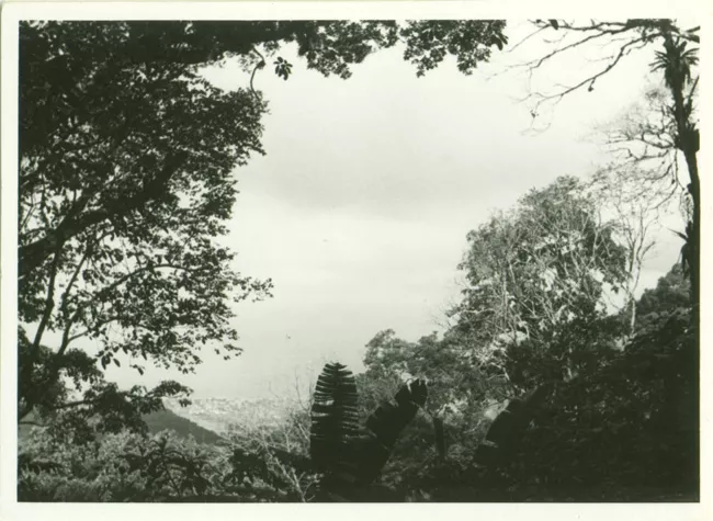 Paisaje rural
