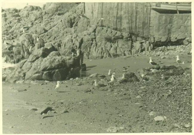 Paisaje marino