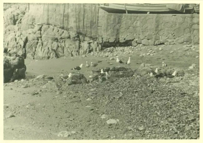 Paisaje marino