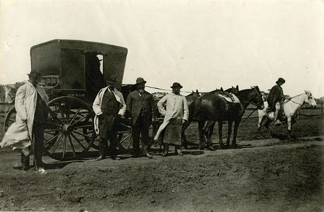 Deligencia Concepción Cañete