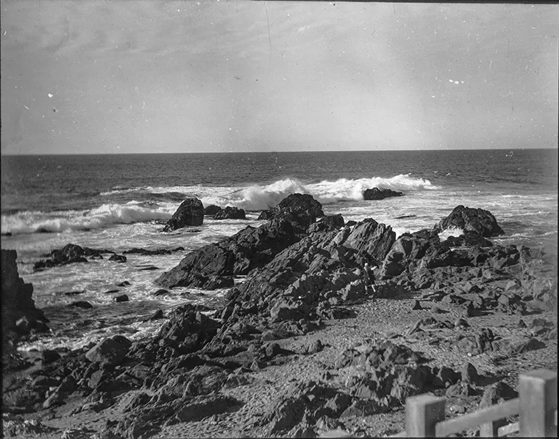 Litoral rocoso