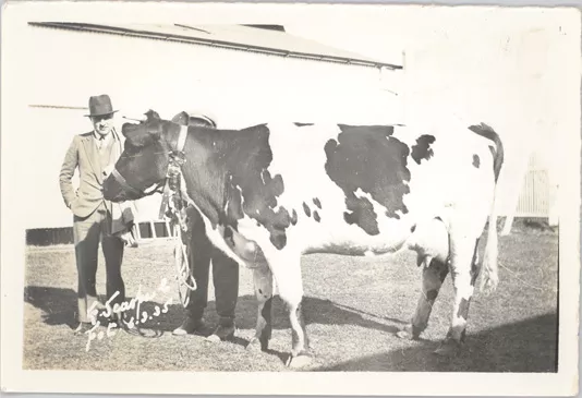 Vaca