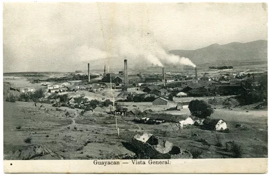 Vista de Guayacán