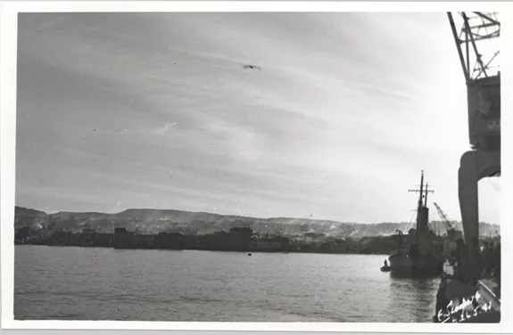 Punta Arenas