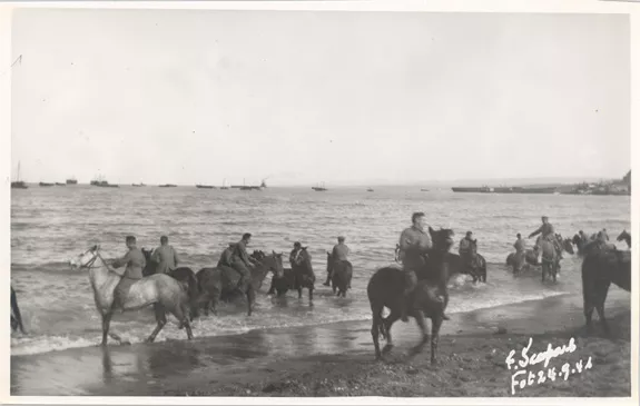 Bañando a caballos