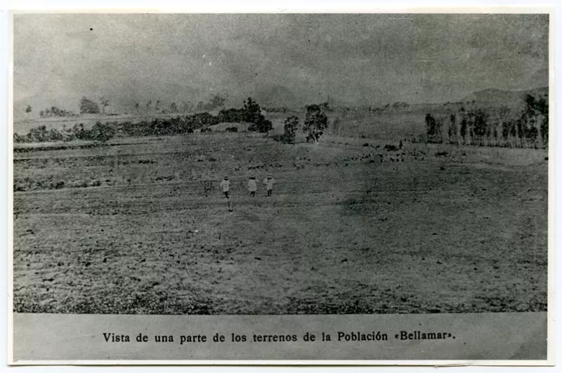 Vista parcial de los terrenos de la población Bellamar