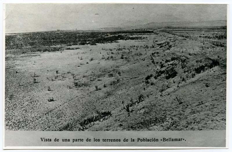 Vista parcial de los terrenos de la población Bellamar