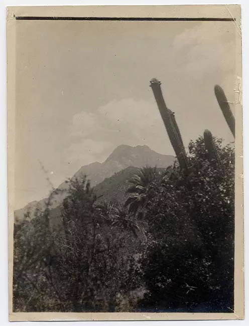 Paisaje natural con vegetación y cerros