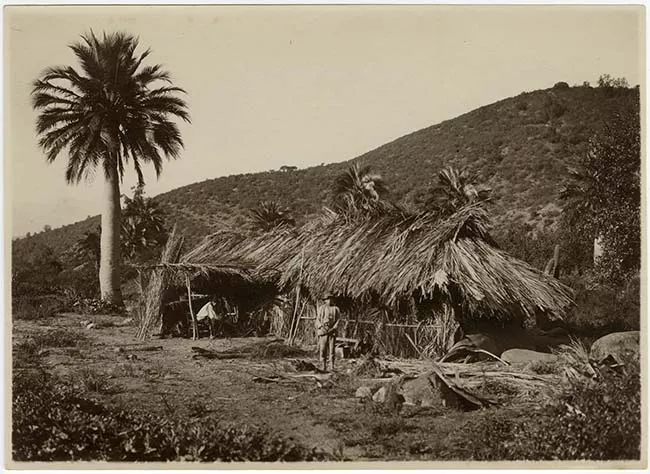 Casa de palmas
