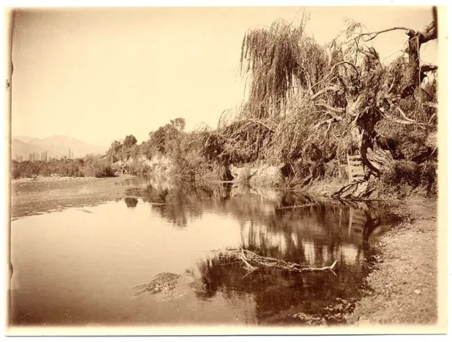 Paisaje natural con laguna