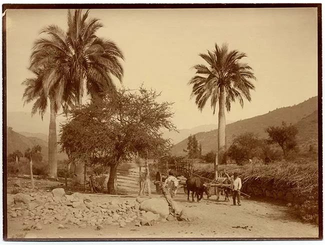 Paisaje rural