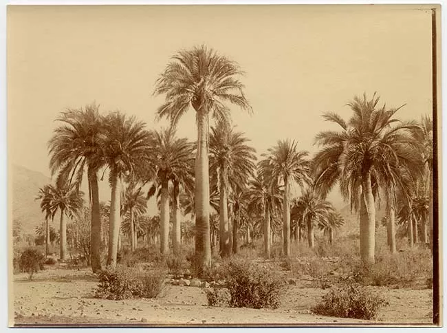 Paisaje natural