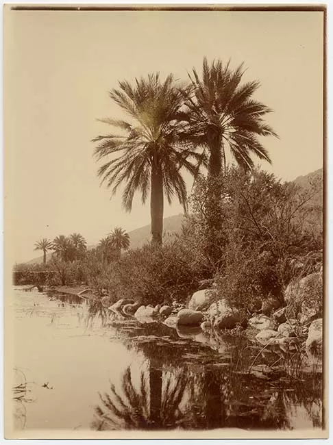 Paisaje natural