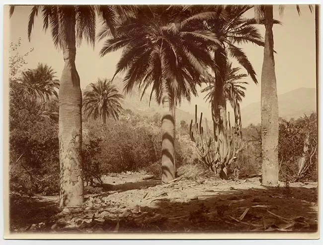 Paisaje natural