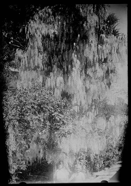 Paisaje natural
