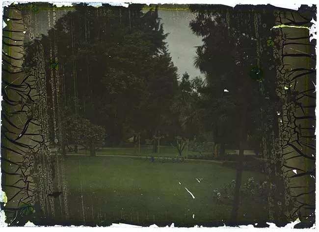 Jardín
