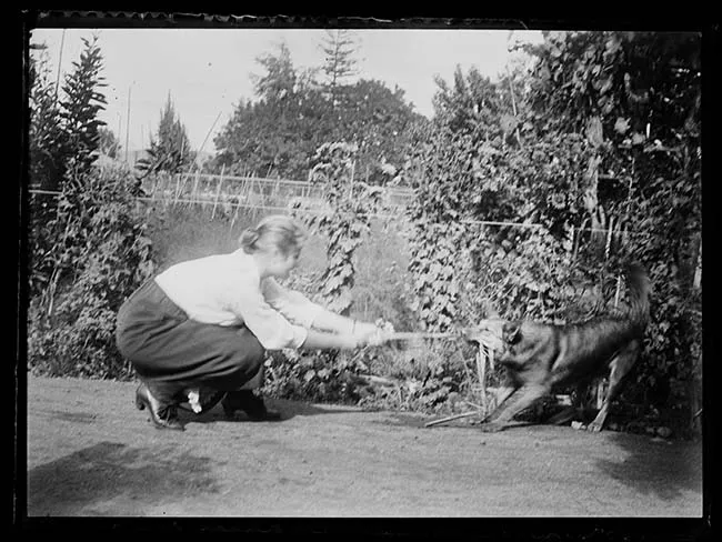 Mujer jugando con perro