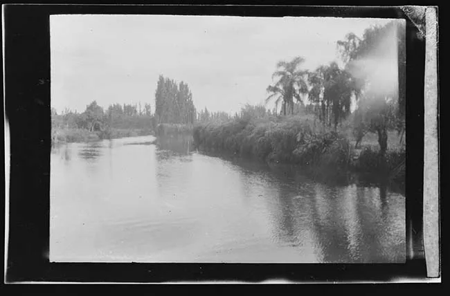 Laguna