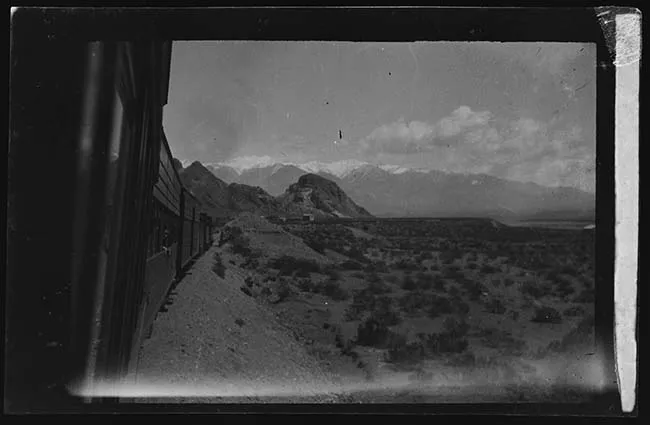 Tren en paisaje natural