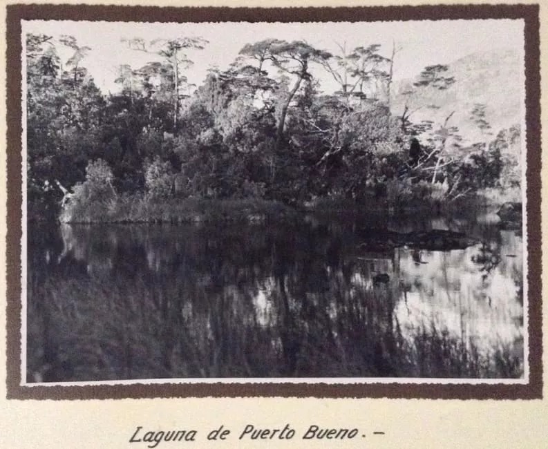 Laguna de Puerto Bueno